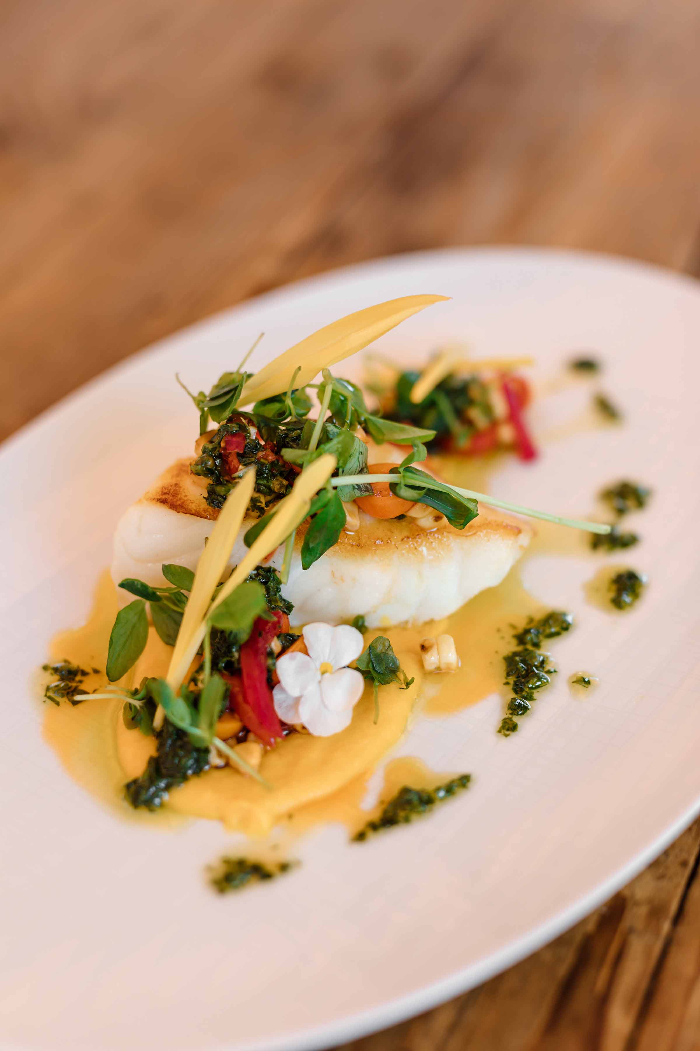 sea bass fillet beautifully served on a plate